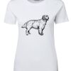 Ladies Special Tee Thumbnail