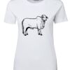 Ladies Special Tee Thumbnail