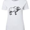 Ladies Special Tee Thumbnail