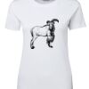 Ladies Special Tee Thumbnail