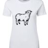 Ladies Special Tee Thumbnail