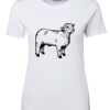 Ladies Special Tee Thumbnail