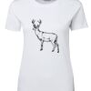 Ladies Special Tee Thumbnail