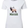 Ladies Special Tee Thumbnail