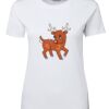 Ladies Special Tee Thumbnail