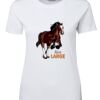 Ladies Special Tee Thumbnail