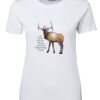 Ladies Special Tee Thumbnail