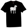 Sportage - Surf Tee Thumbnail