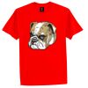 Stedman Classic Tee Thumbnail