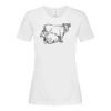 Stedman Ladies Classic Tee Thumbnail