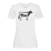 Stedman Ladies Classic Tee Thumbnail