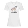 Stedman Ladies Classic Tee Thumbnail