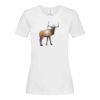 Stedman Ladies Classic Tee Thumbnail