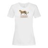 Stedman Ladies Classic Tee Thumbnail