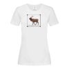 Stedman Ladies Classic Tee Thumbnail